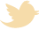 Twitter icon